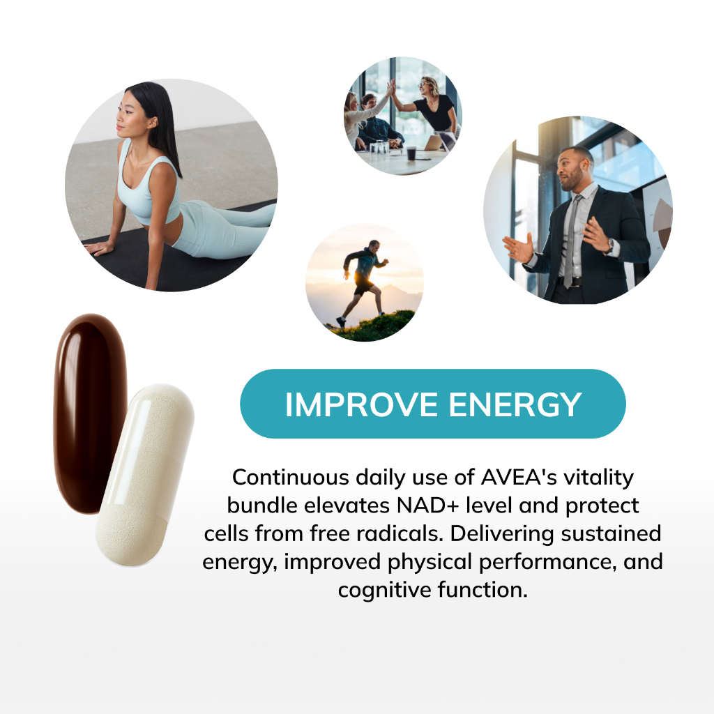 Seller illustration of AVEA Vitality Bundle use cases
